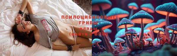 прущие крисы Алексин