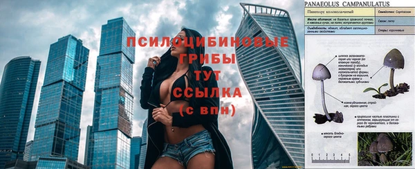 кокаин колумбия Алексеевка