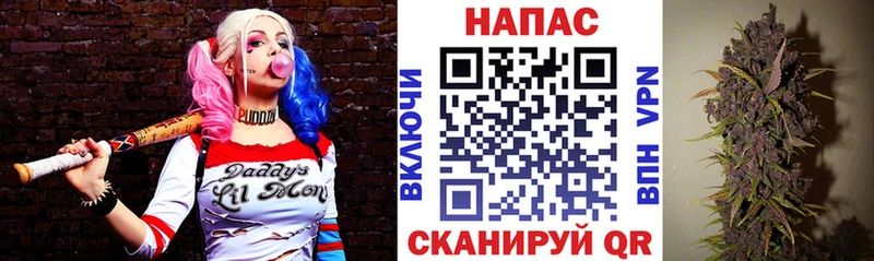 Бошки марихуана план  мега онион  Ревда 